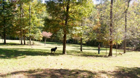Four Paws Kingdom - Rutherfordton, NC