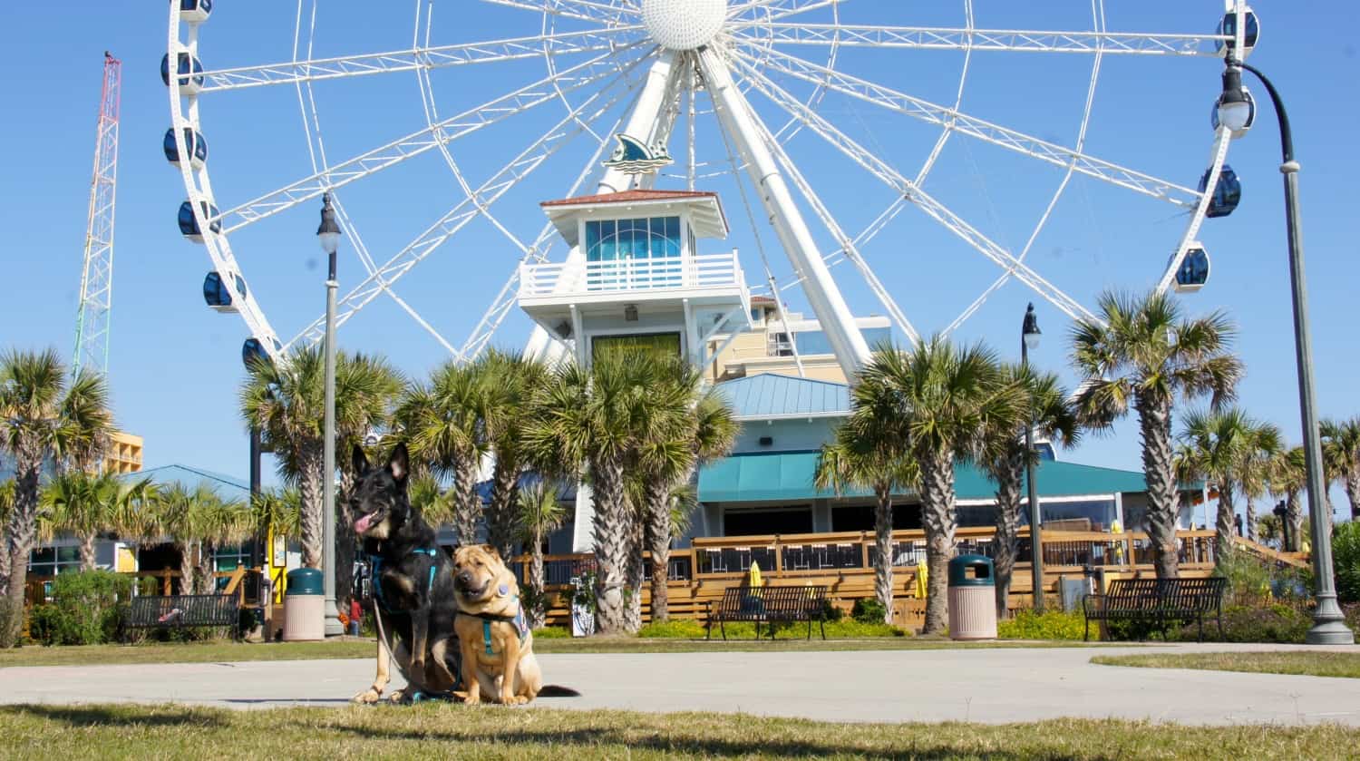 Buster and Ty - Myrtle Beach, SC