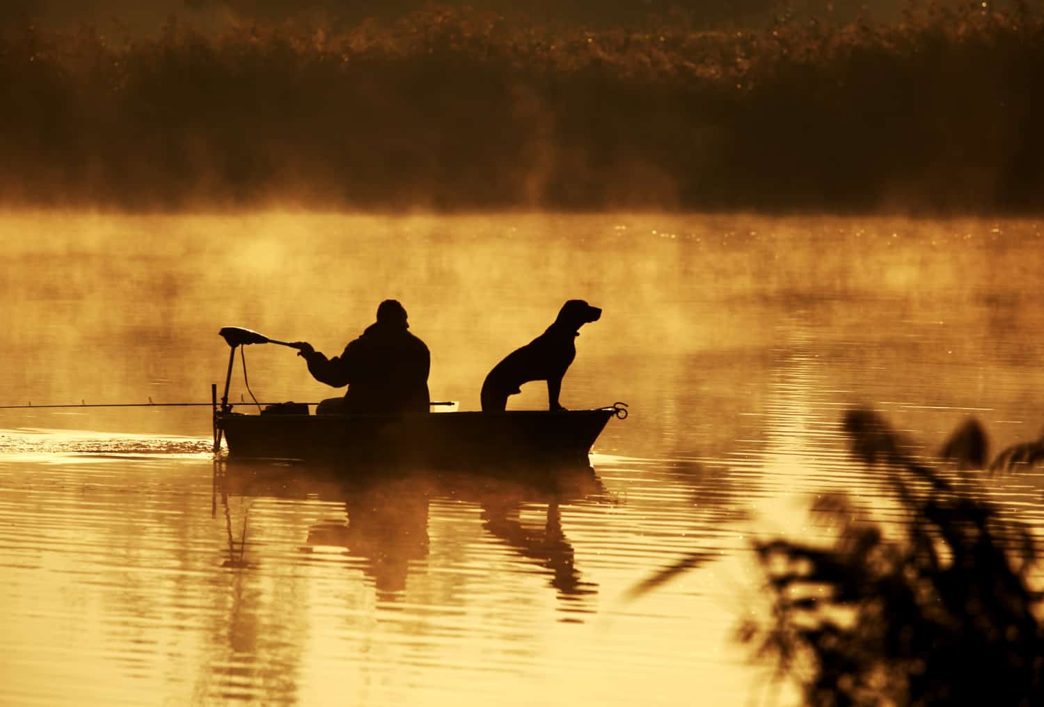 Man and a dog in a fishing boat at sunrise with fog rising off the water