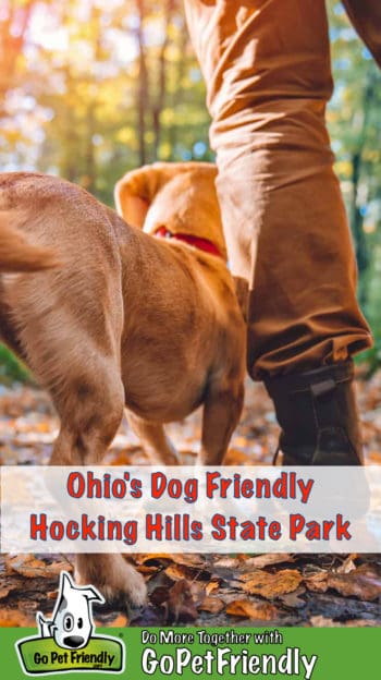 Tan dog standing beside a man in hiking boots on a wooded trail