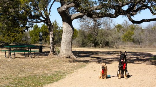 Historic Stagecoach Park - Buda, TX