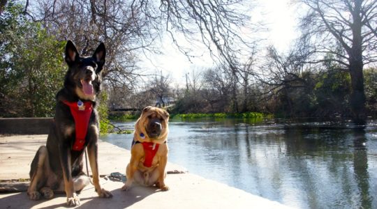 Buster and Ty - San Marcos, TX