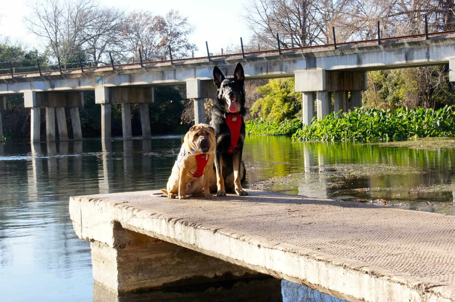 River Walkway - San Marcos, TX