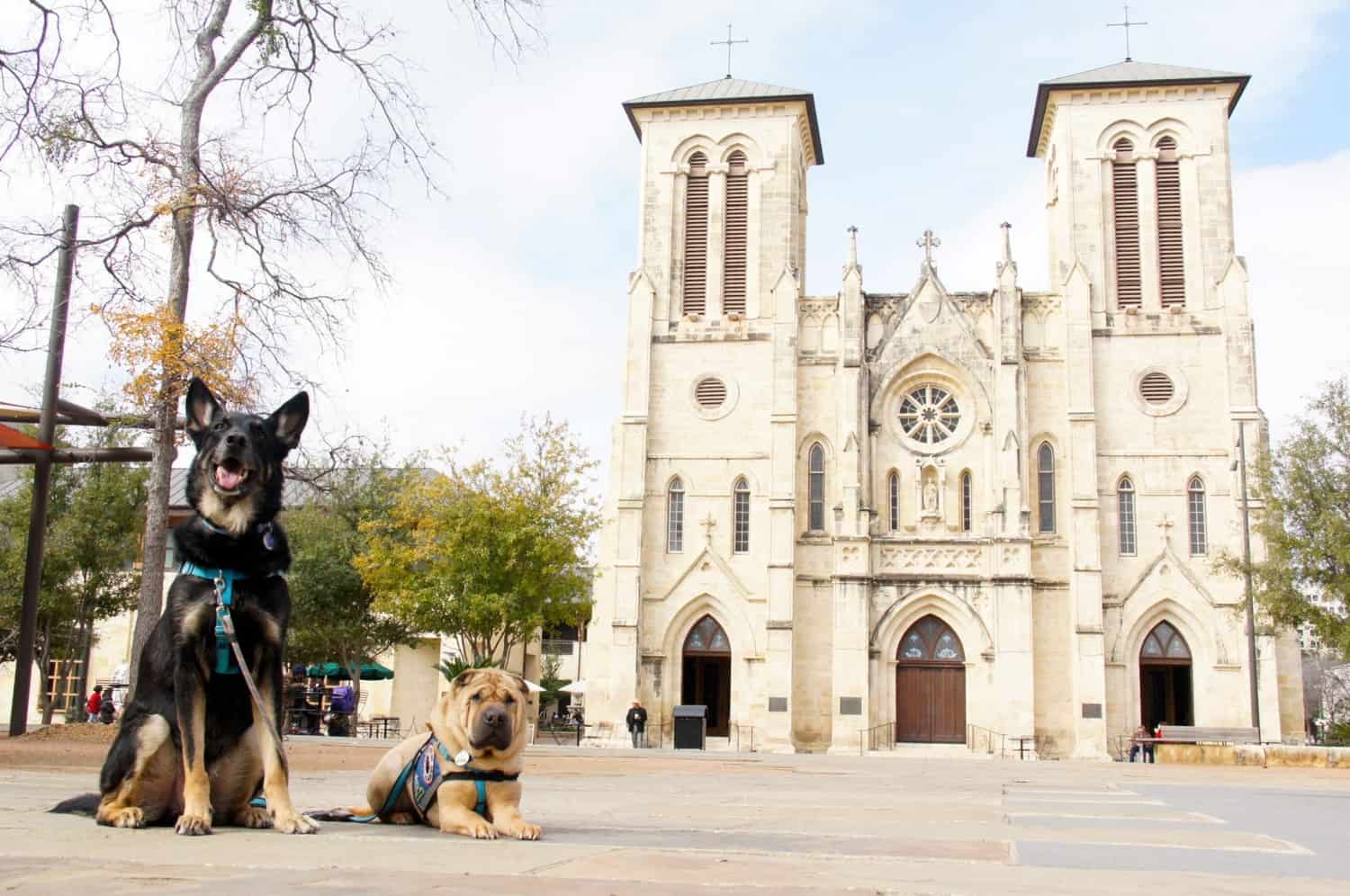 San Fernando Cathedral - San Antonio, Texas