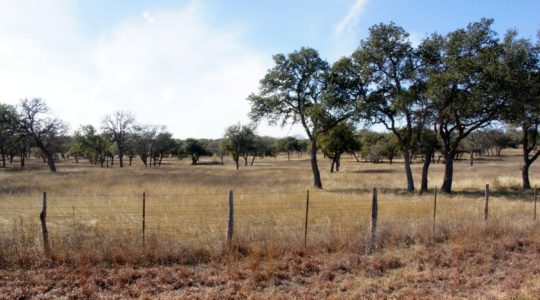 The Devil's Backbone - Wimberly, TX