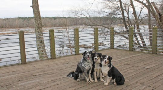 Landsford Canal State Park - Catawba, SC