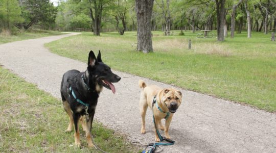 McKinney Falls State Park - Austin, TX