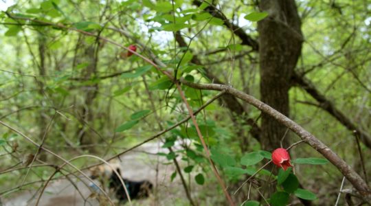 McKinney Falls State Park - Austin, TX