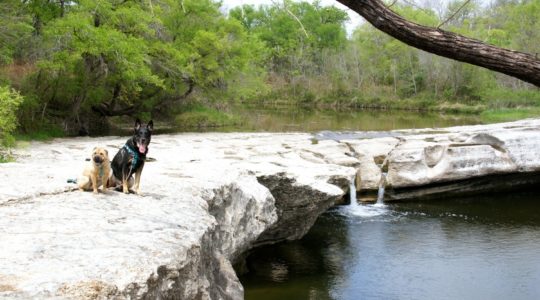 McKinney Falls State Park - Austin, TX