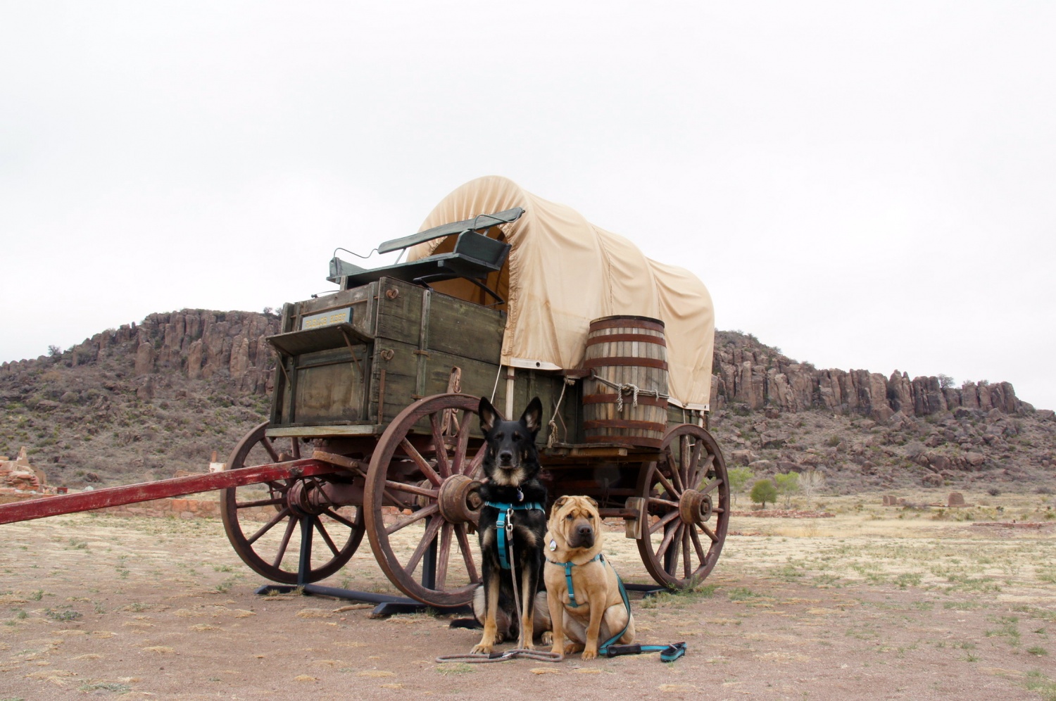 Dog Friendly Far West Texas - Marfa, Fort Davis, Alpine and Marathon