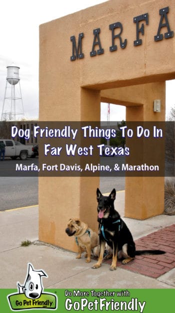 Two dogs sitting under a Marfa sign in Far West Texas