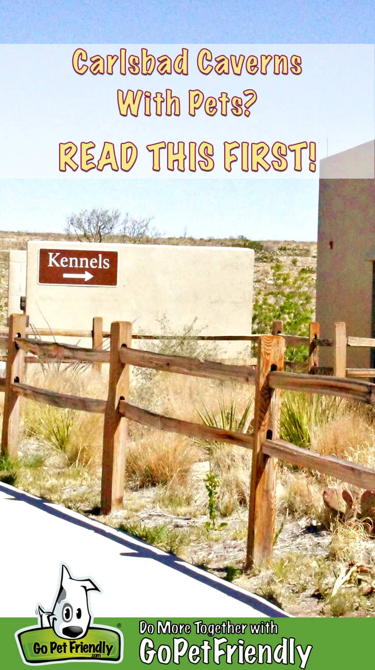 Sign for Kennels at Carlsbad Caverns National Park in New Mexico