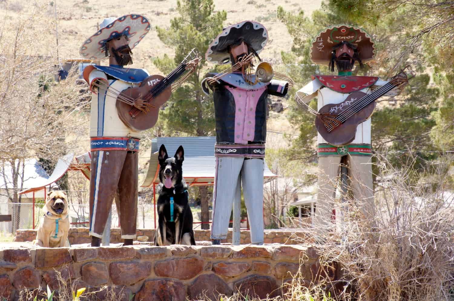 Ty and Buster - Alpine, TX