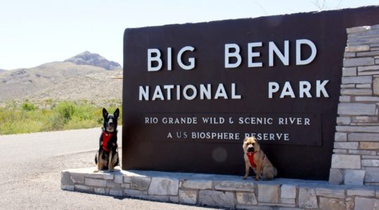 Buster and Ty at Big Bend National Park - TX