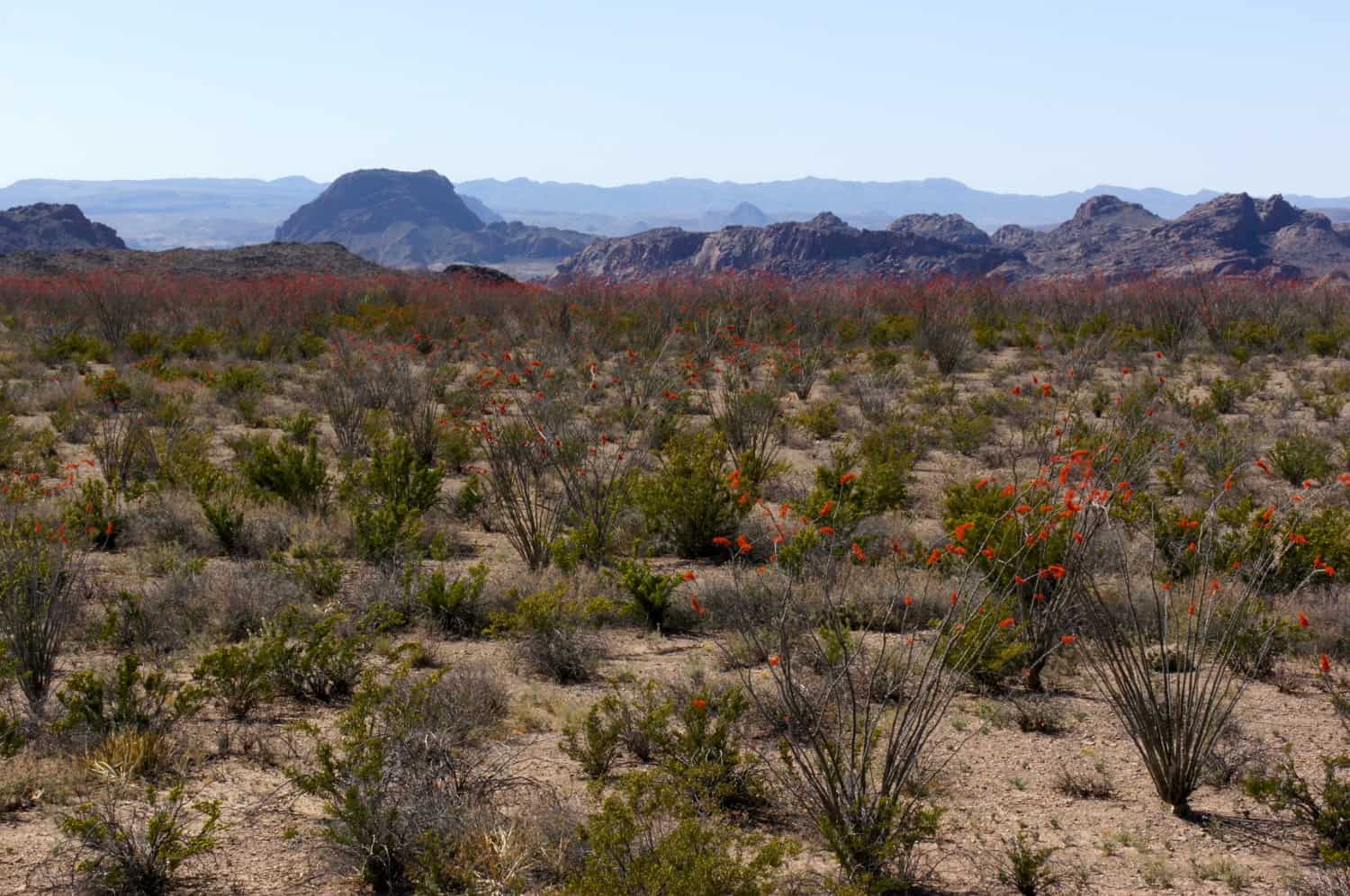 Big Bend National Park - TX