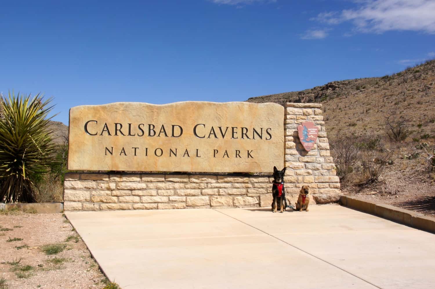 Ty and Buster - Carlsbad Caverns, NM