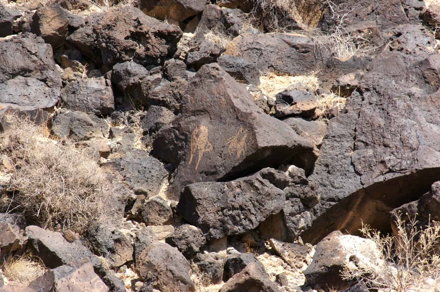 Petroglyph National Monument - Albuquerque, NM