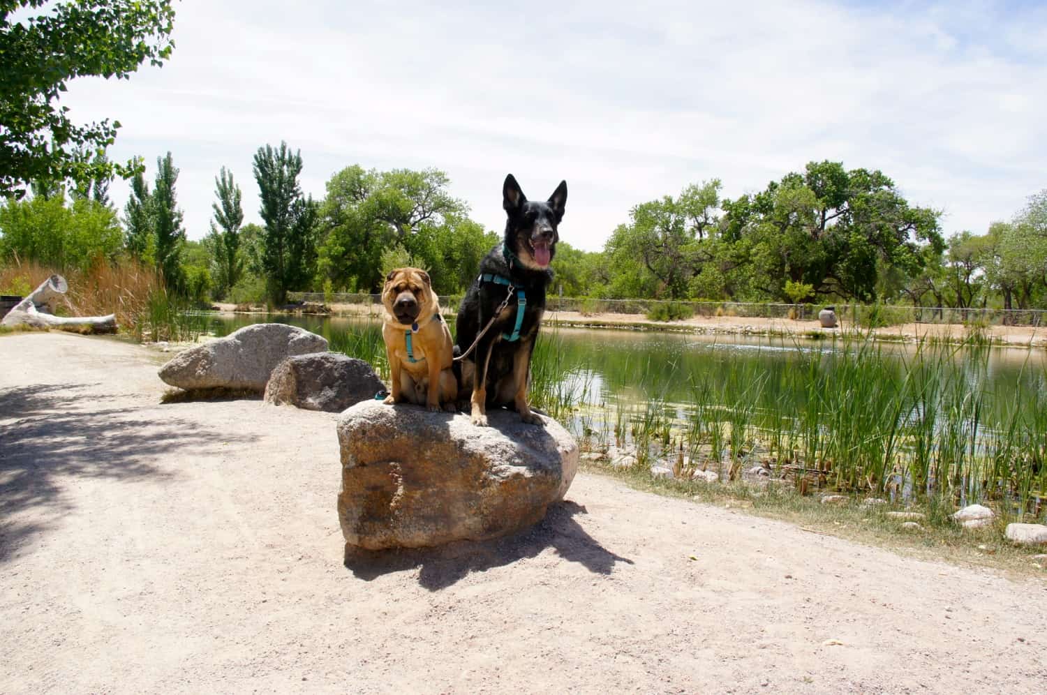 Tingley Beach - Albuquerque, NM