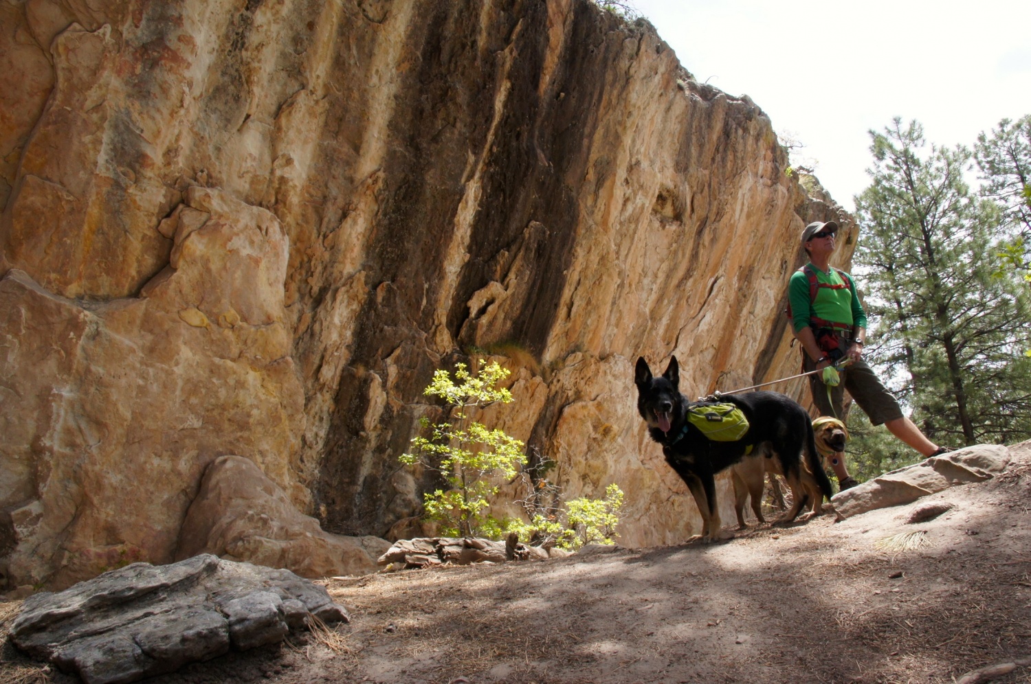 The Boys - Dalla Mountain - Durango, CO