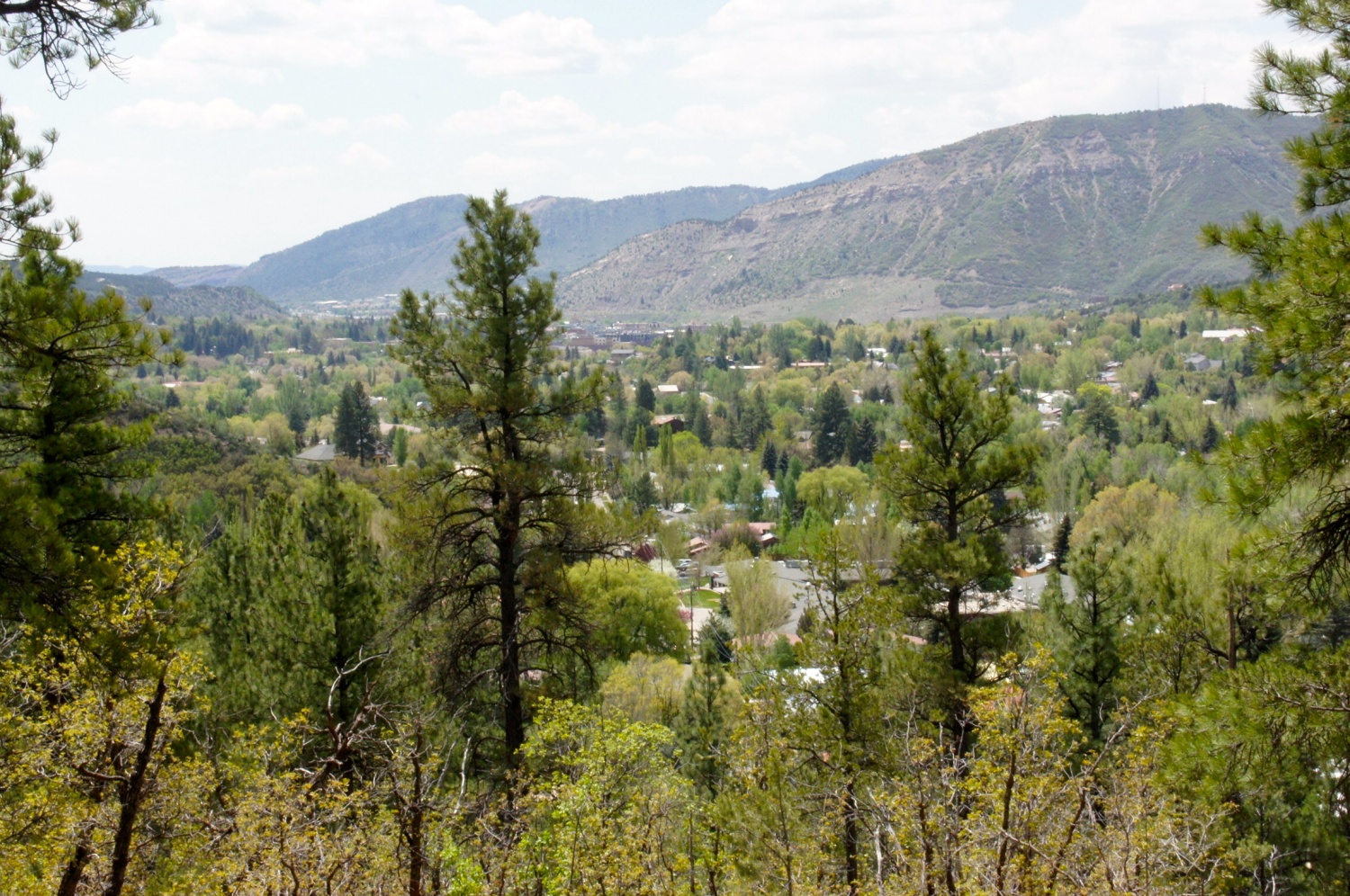 Dalla Mountain - Durango, CO