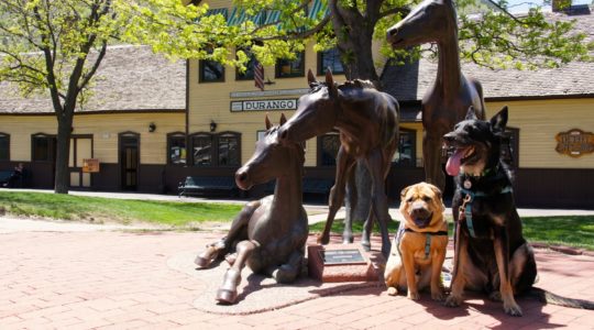 Ty and Buster - Durango, CO