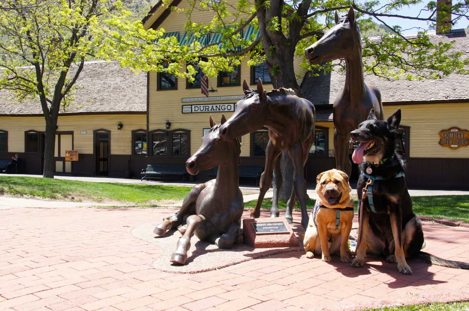 Ty and Buster - Durango, CO