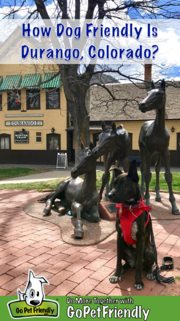 Brindle dog in a red bandana and harness sitting in front of a sculpture of three horses on Main Avenue in Durango, CO
