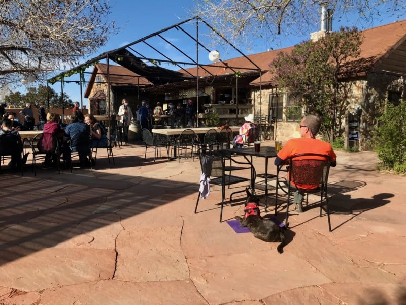 Man and dog on the patio at Beer Creek Brewing Company, Santa Fe, NM