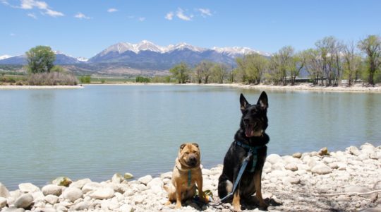 Ty and Buster at Franz Lake  - Salida, CO