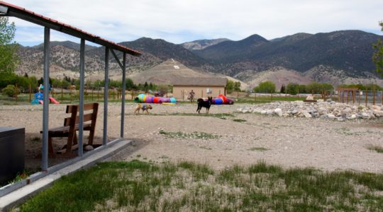 Loyal Duke's Dog Park - Salida, CO