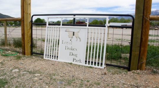 Loyal Duke's Dog Park - Salida, CO