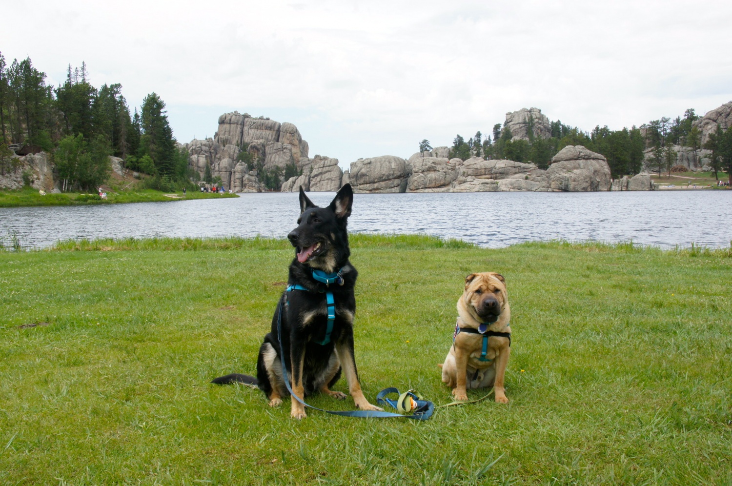 Buster and Ty at Sylvan Lake - Custer, SD