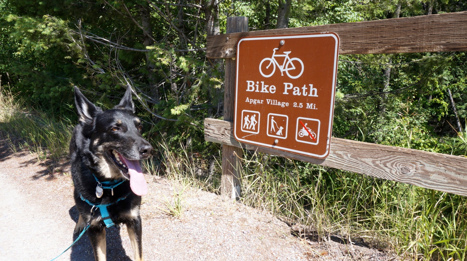 Buster at McDonald Creek Bike Path - West Glacier, MT