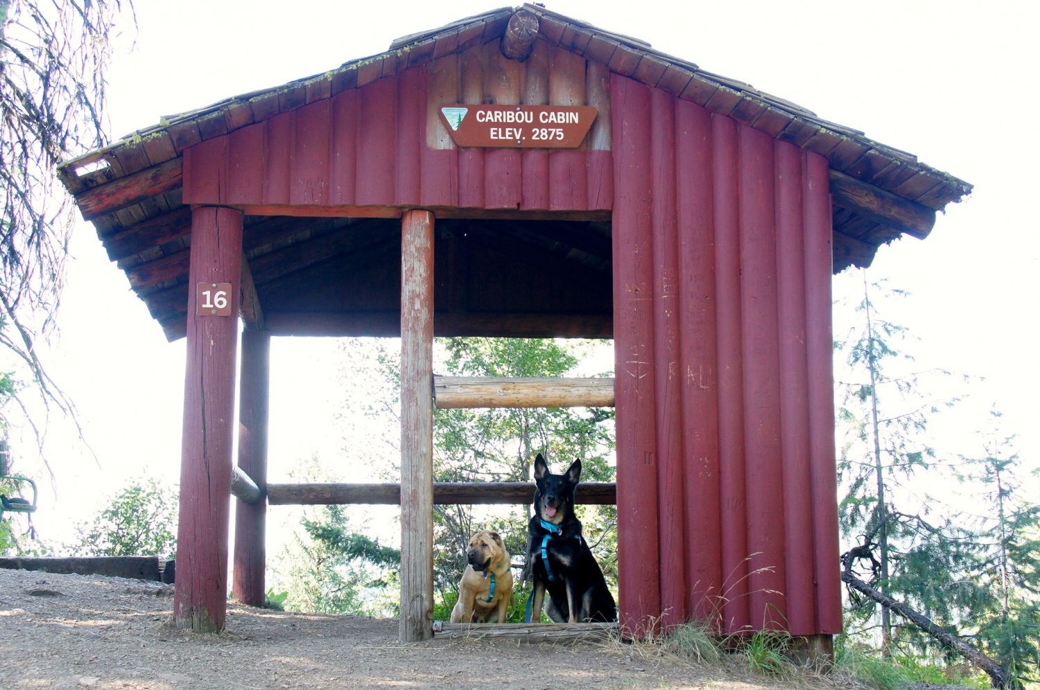 Idaho's Top Pet Friendly Attraction: Lake Coeur d'Alene | GoPetFriendly.com