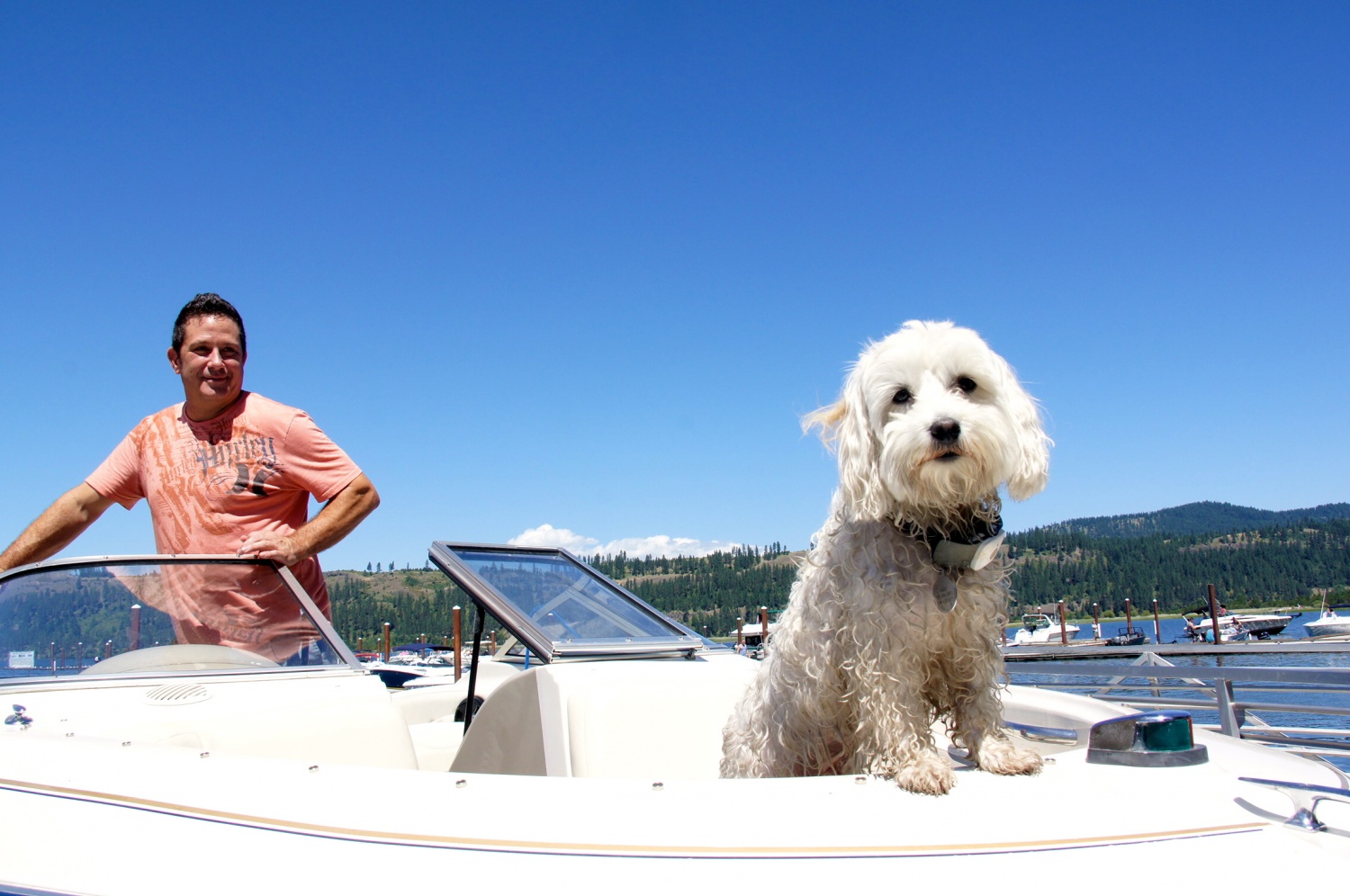 White dog on powerboat in Harrison, ID