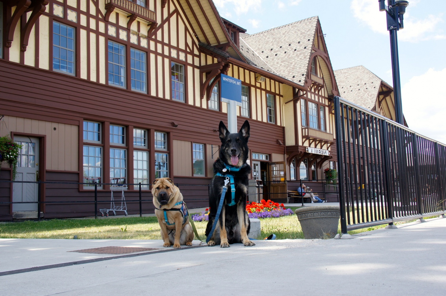 Ty and Buster in Whitefish, MT