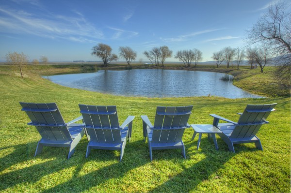 Pond at Rams Gate Vineyard - Sonoma, CA