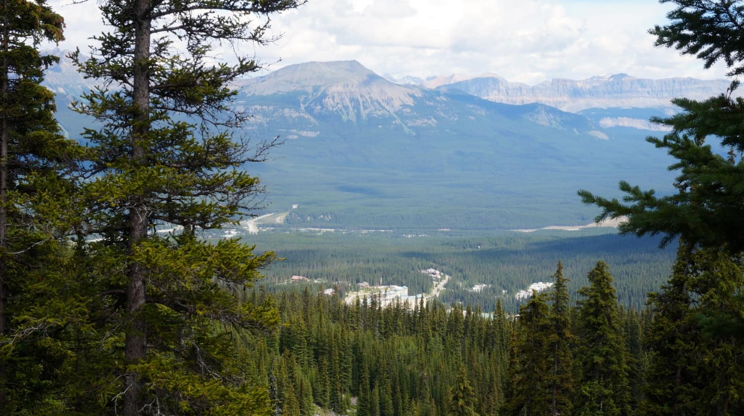 Hike to the Tea House - Lake Louise, AB