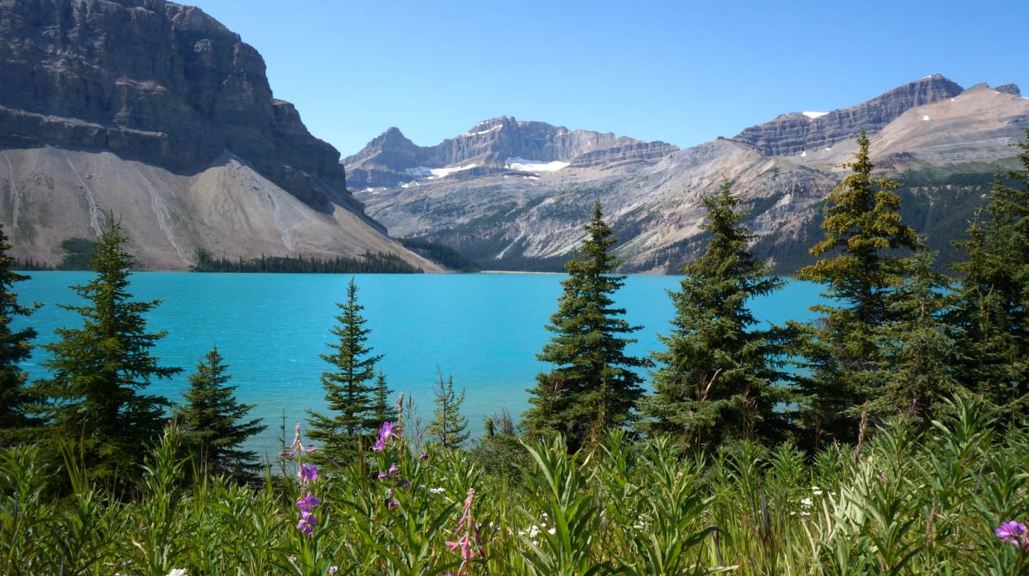 Bow Lake - Alberta