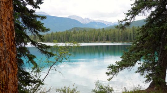 Lake Annette - Jasper, AB
