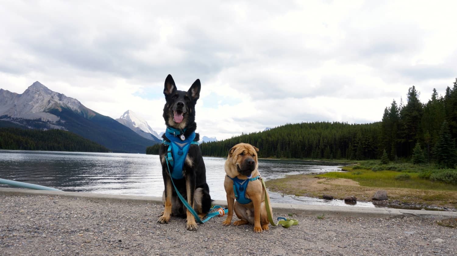 Maligne Lake - Jasper, AB