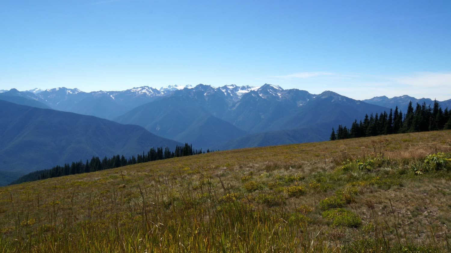 Hurricane Ridge - Olympic Peninsula, Washington