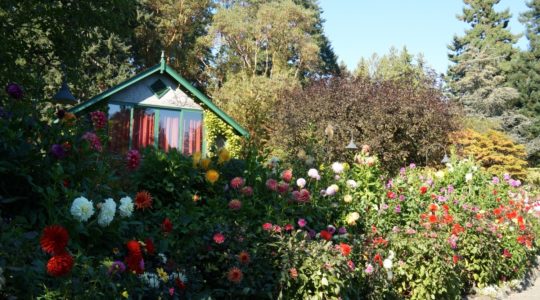 Butchart Gardens - Victoria, BC