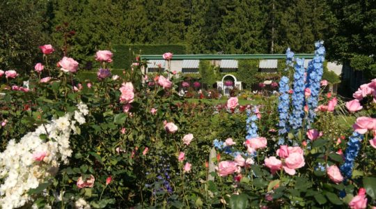 Butchart Gardens - Victoria, BC