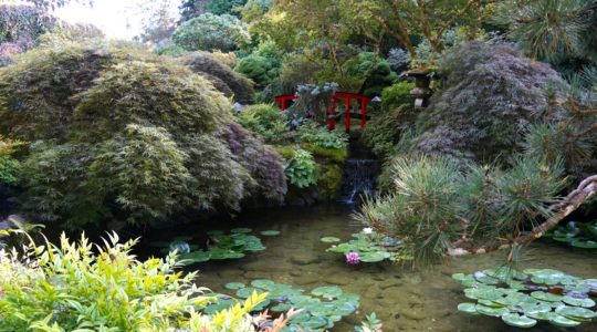 Butchart Gardens - Victoria, BC