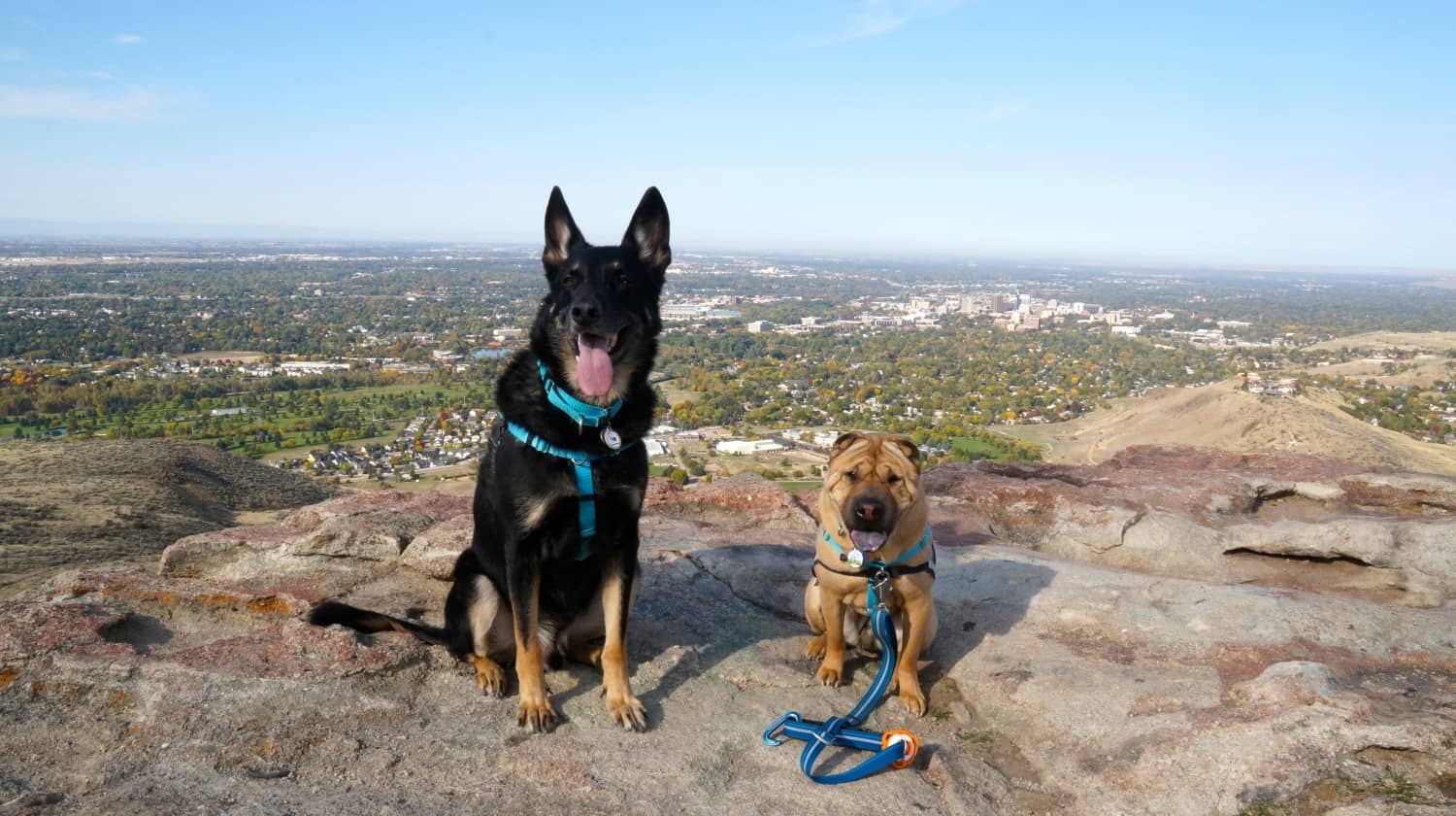 Buster and Ty at Table Rock - Boise, ID