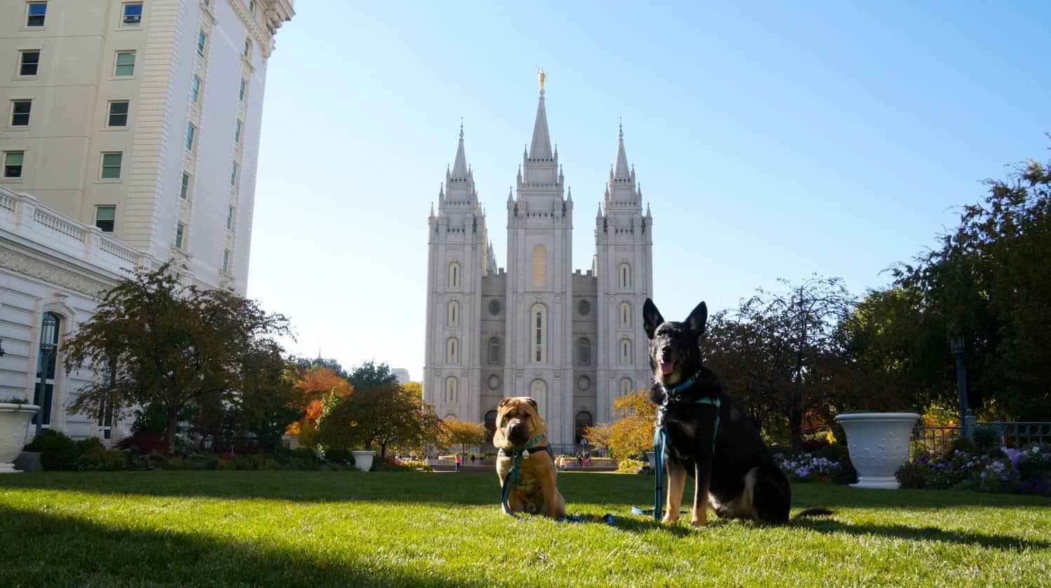 Ty and Buster at Temple Square - Salt Lake City, UT