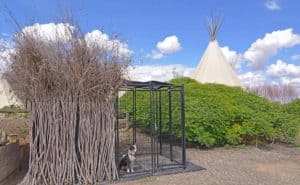 Doggie-Digs Cherry Wood Winery - Yakima Valley, WA