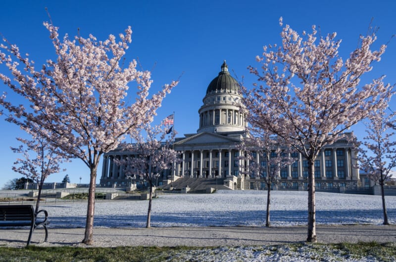 The lawn of the Utah state capitol is covered in a blanket of snow and surrounded by cherry trees.