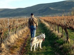 Sleeping Dog Winery - Yakima Valley, WA